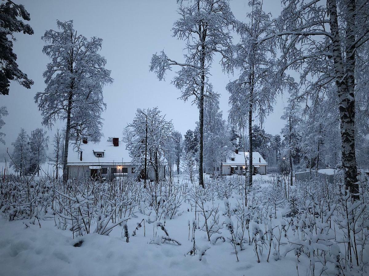 Vildmarks Holiday home Ytterhogdal