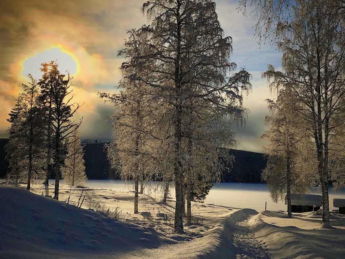 Vildmarks Holiday home